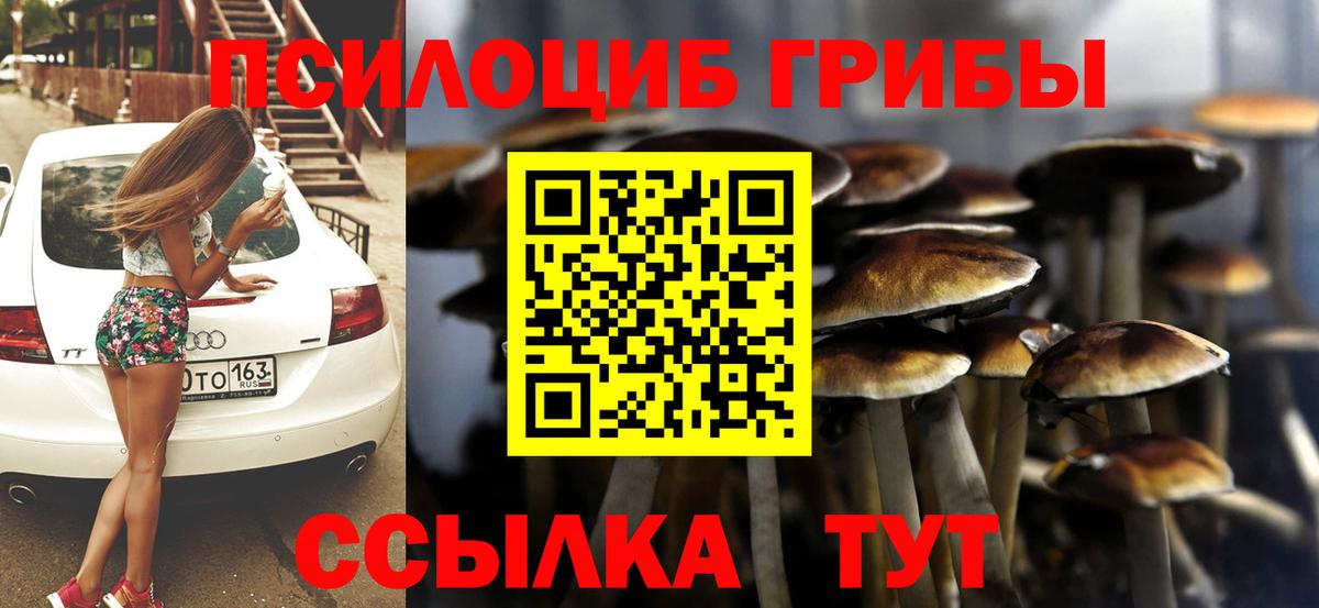 Псилоцибиновые грибы мицелий Волжск